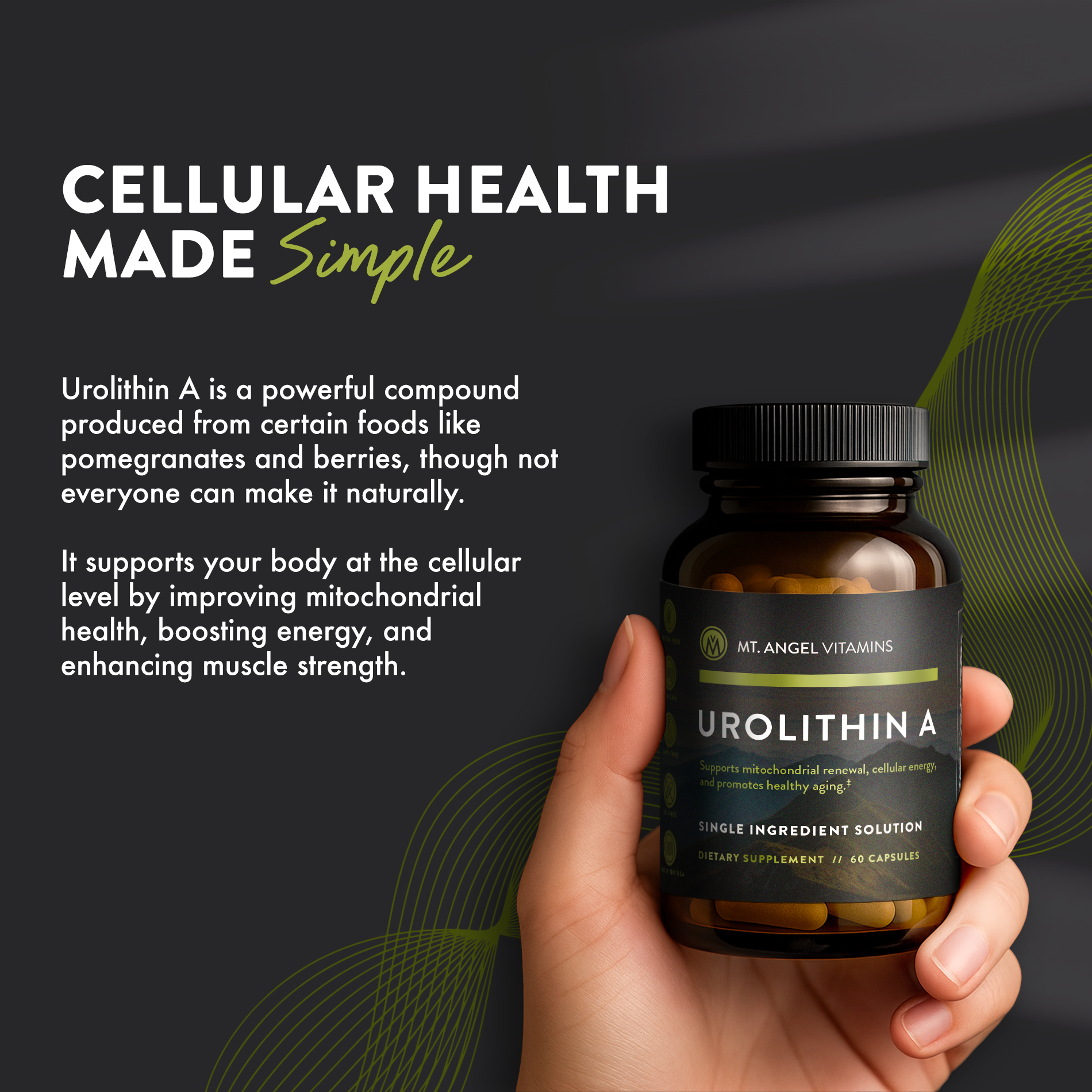 Urolithin A 500mg | Cellular Energy & Mitochondrial Renewal | Mt 