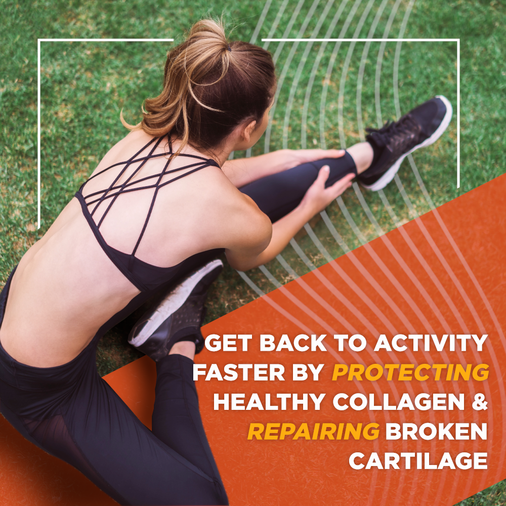 Women stretching on the grass, with the text "get back to activity faster by protecting healthy collagen and repairing broken cartilage". Bromelain joint health joint support muscle recovery workout recovery move free turmeric Boswellia serrata inflammation swollen joints