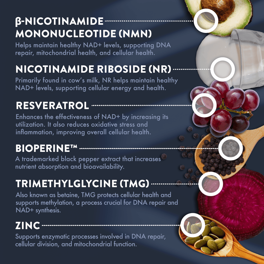 Ingredient callouts: NMN, NR, Resveratrol, BioPerine, TMG, Zinc