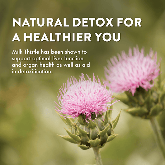 Milk Thistle Supplement for Liver Support