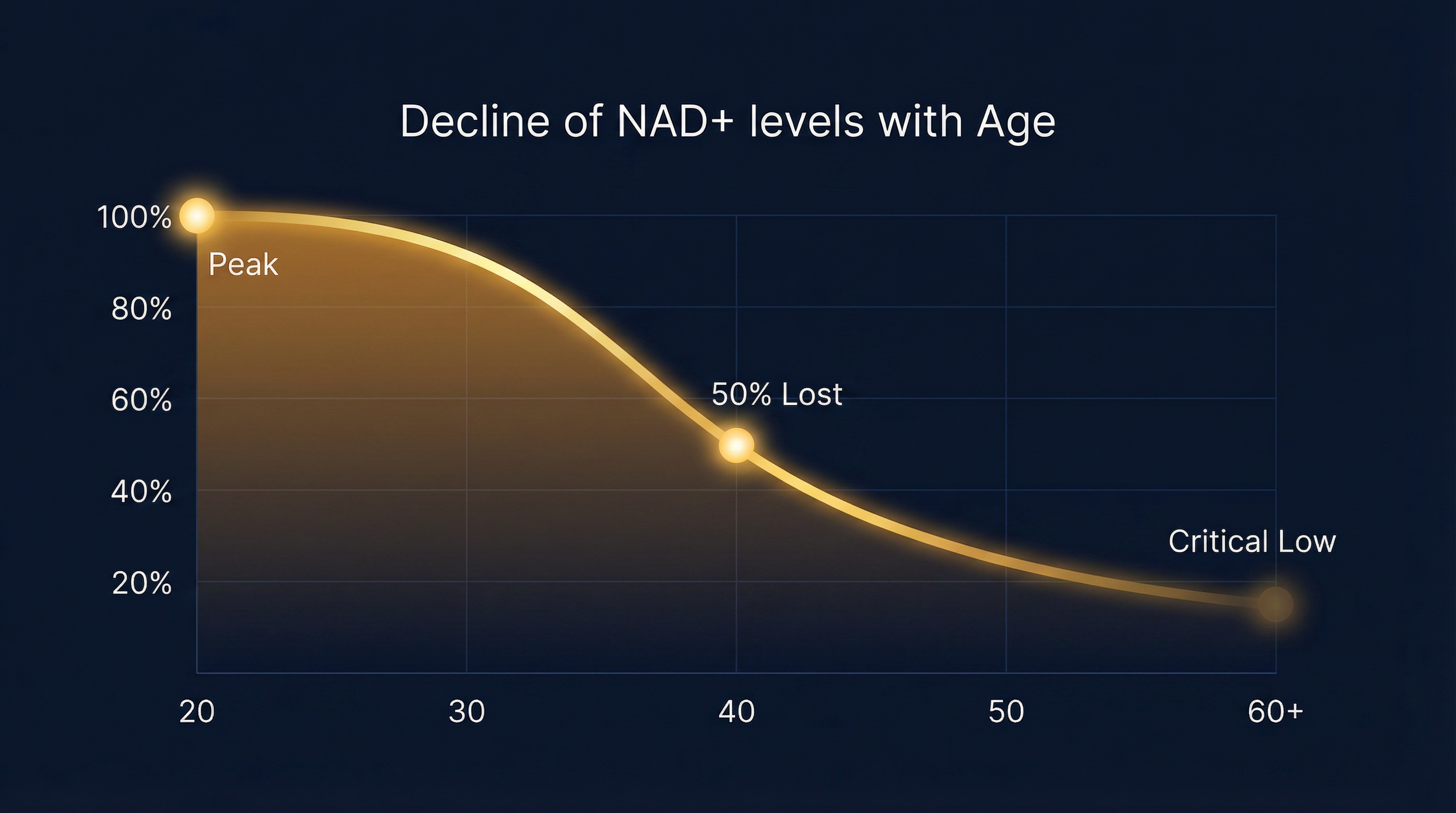 NAD+ levels decline dramatically with age